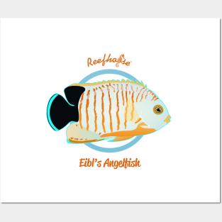 Eibl's Angelfish Posters and Art